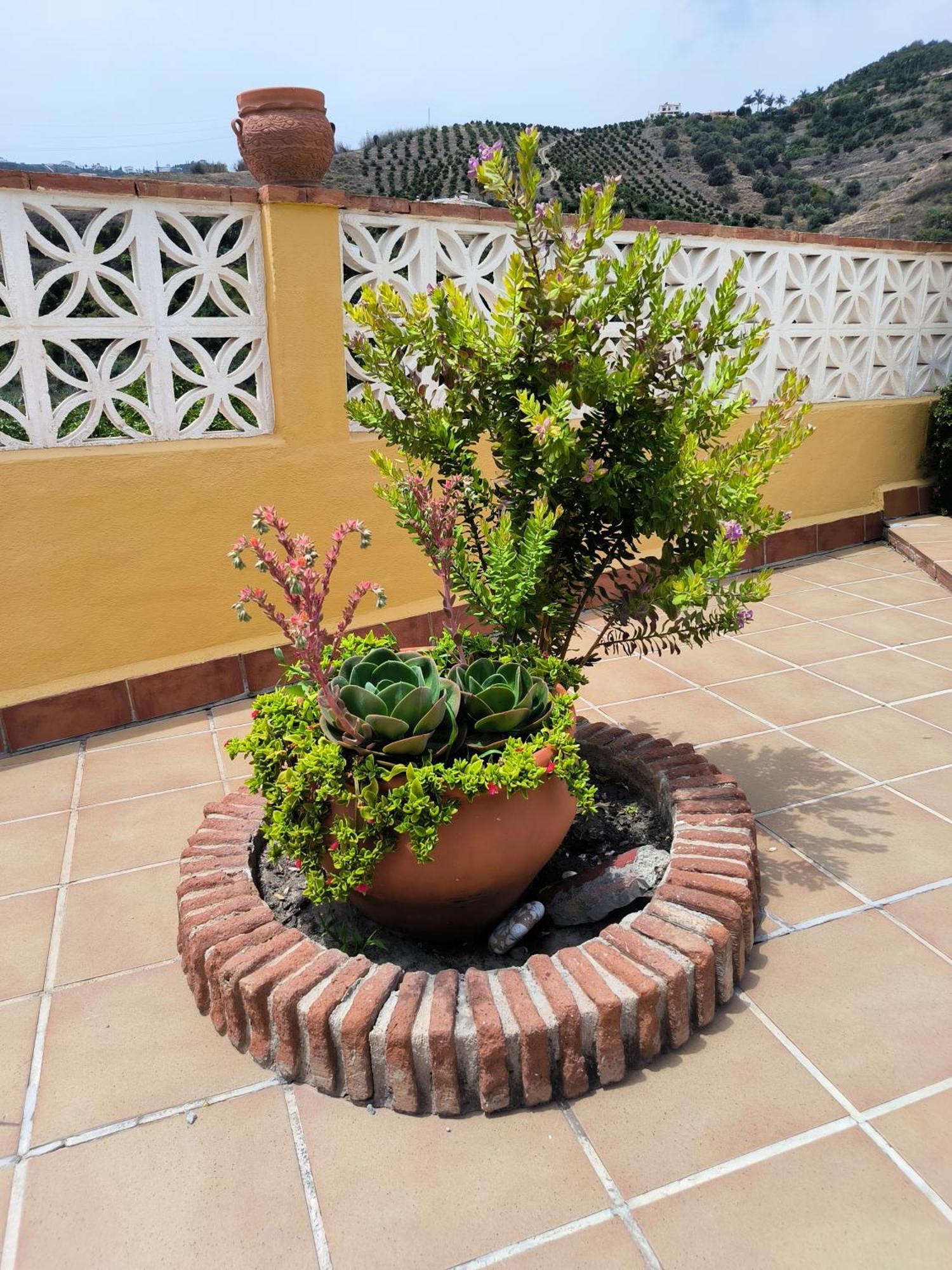 Cortijo Maria Gomez Villa มาลากา ภายนอก รูปภาพ