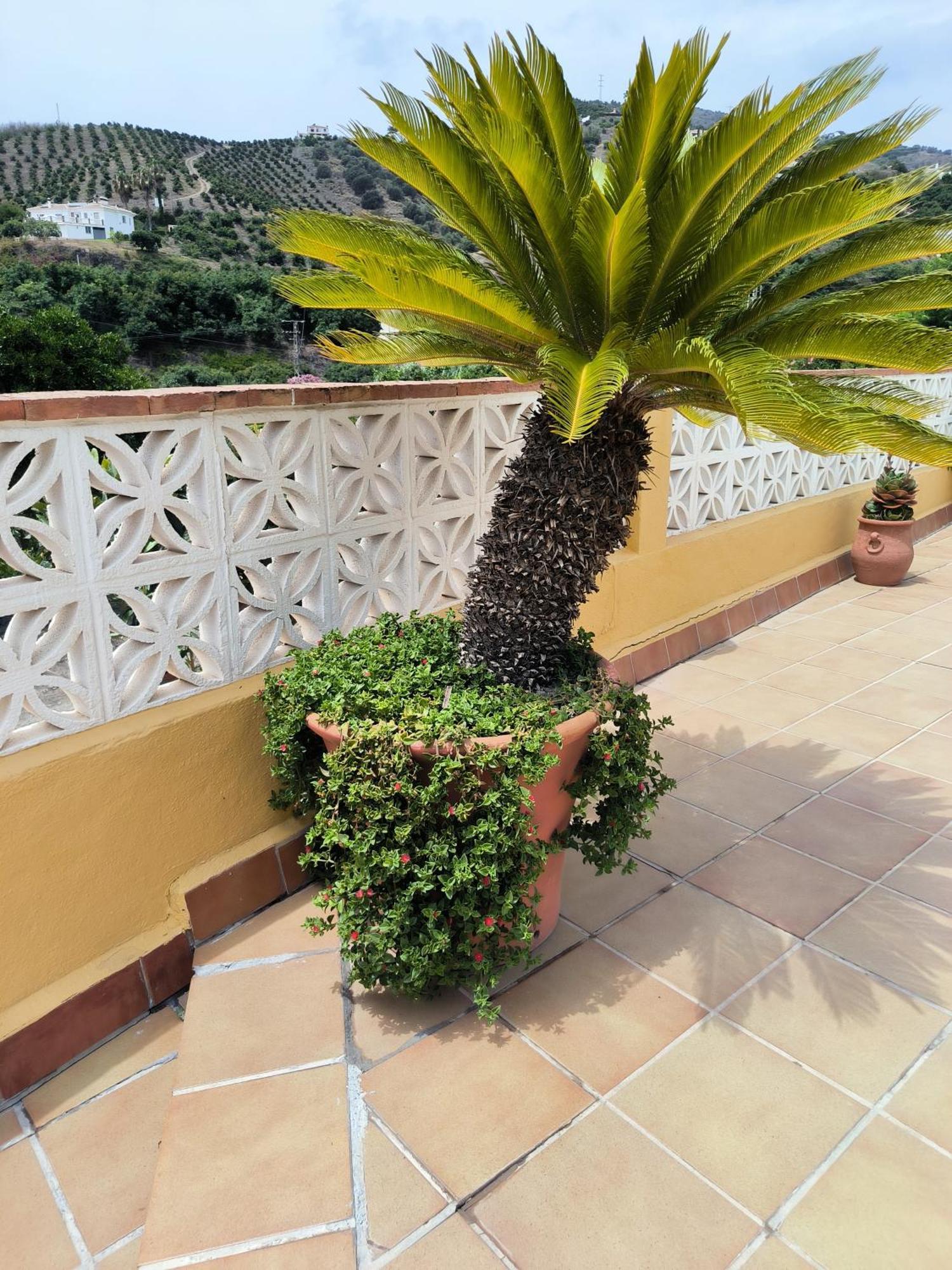 Cortijo Maria Gomez Villa มาลากา ภายนอก รูปภาพ